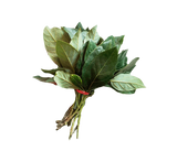 Pile of dried avocado leaves, Close-up of textured dried leaves, Aromatic cooking herb